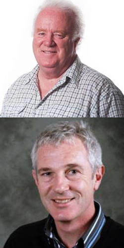 Transferència i aprenentatge de polítiques: troballes recents i nous camins de recerca