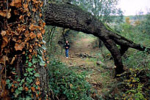 Castellbisbal reconeguda per la seva gestió mediambiental