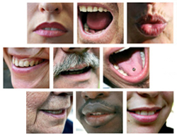 La participació de l'Associació Catalana de Gestió Pública en el procés de reforma de l'Estatut d'Autonomia de Catalunya