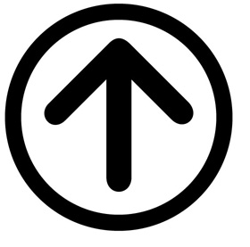 Fletxes, cercles i híbrids: el control del govern modern<br>