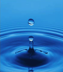 Nova cultura, nous valors i nou govern de l'aigua.
Nova cultura de l'aigua i valors públics que cal protegir