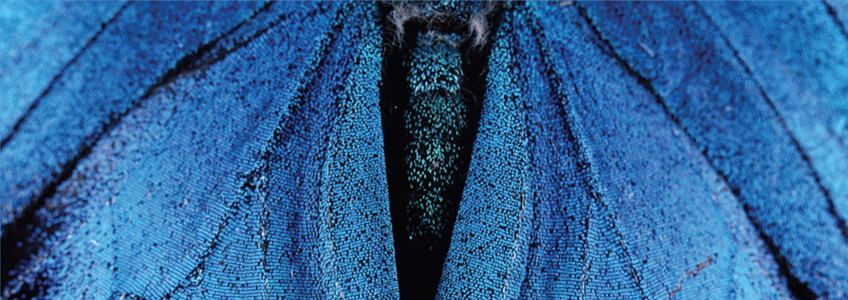 Gestionar el canvi i la innovació en les organitzacions de servei públic