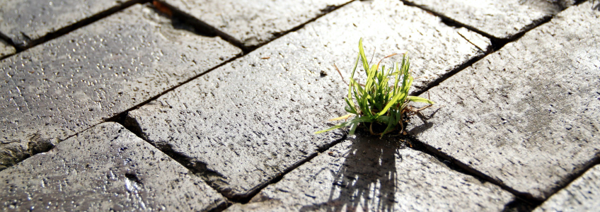 Com impulsar polítiques de rehabilitació per assolir la sostenibilitat