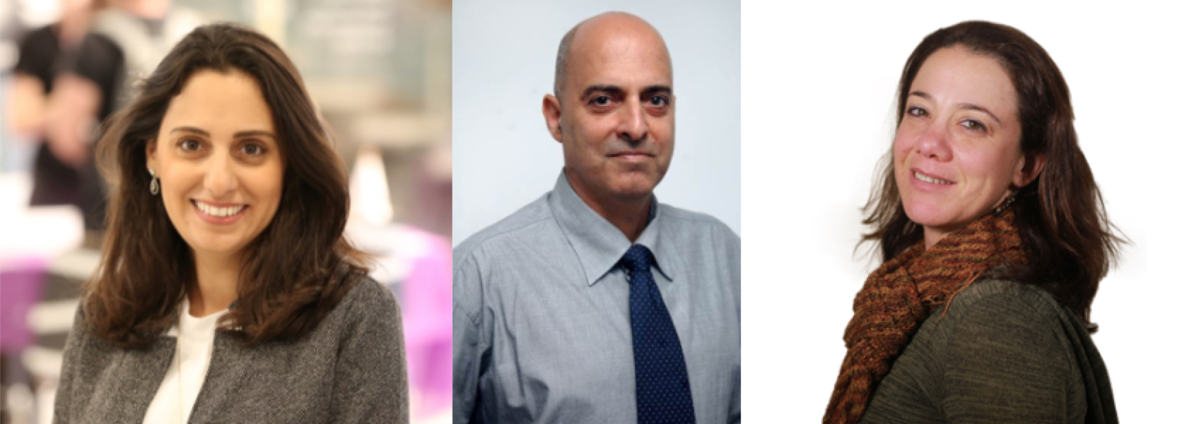 Els empleats públics compromesos emocionalment. Anàlisi del rol de la intel·ligència emocional en el sector públic