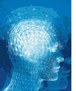 La influència emergent de les xarxes en les organitzacions públiques i la governança de les xarxes del coneixement