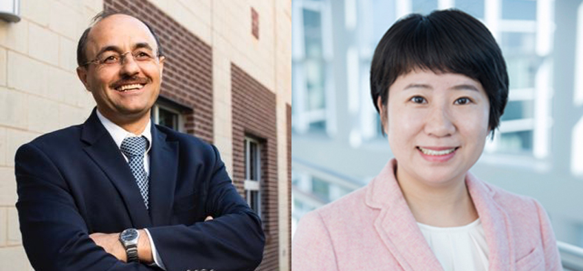 La governança en xarxa: la gestió de les xarxes interorganitzatives per a l’acompliment de les col·laboracions