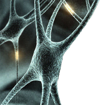 La dinàmica de les xarxes públiques