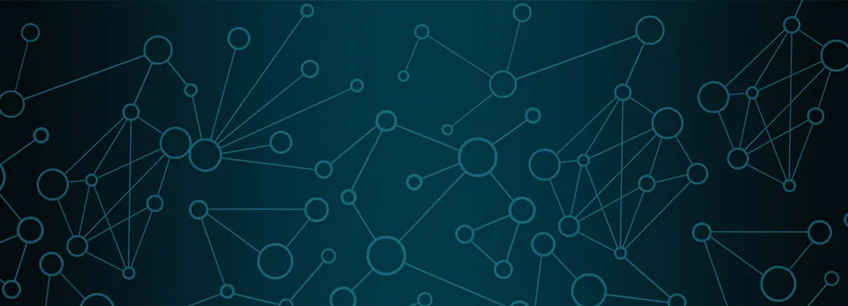 Xarxes gestionades en gestió pública