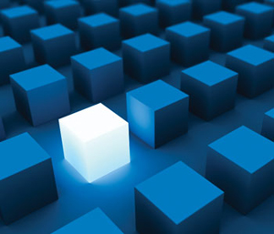 Construint organitzacions públiques capaces del canvi