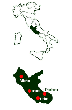 Allò petit (ja no) és bell, la xarxa sí que ho és. Però podem gestionar-la? Evidències de xarxes de govern local a la regió del Laci