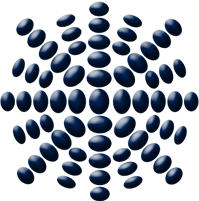 Presència de l’Institut de Direcció i Gestió Pública (IDGP) al XIII Congrés Internacional del CLAD sobre reforma de l’Estat i de l’Administració pública (Buenos Aires, Argentina, del 4 al 7 de novembre de 2008)