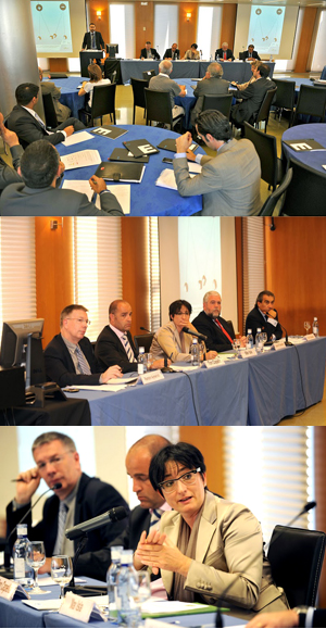 Estat i mercat: empreses públiques d’inversió industrial i cooperació publicoprivada 