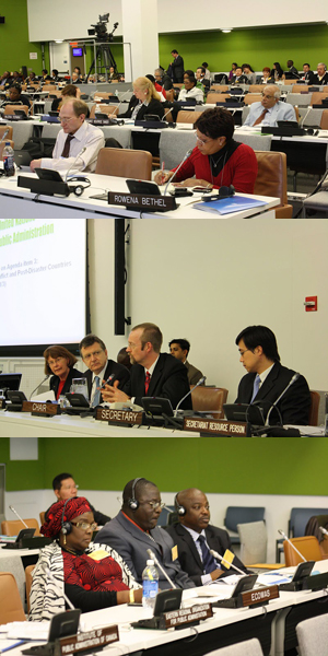 Longo, en la 10a sessió del Comitè d’Experts en Administració Pública de les Nacions Unides