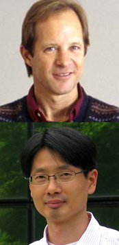 L’ús del modelatge basat en agents per estudiar la governança col·laborativa